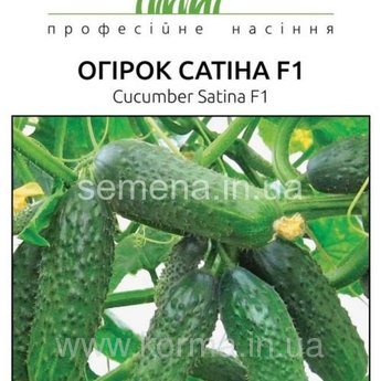 Огірок Сатіна F1